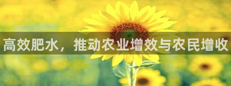 千亿球盟会乐玩