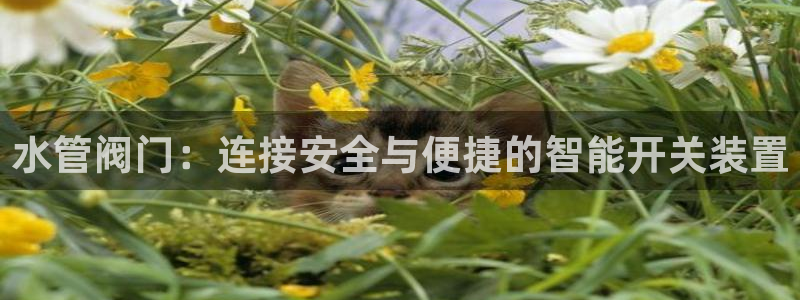 球盟会能退钱吗是真的吗