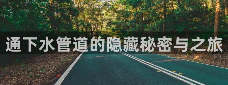 球盟会里面有打牌的嘛