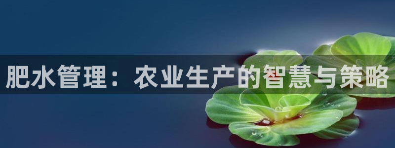 球盟会app最新地址下载安装