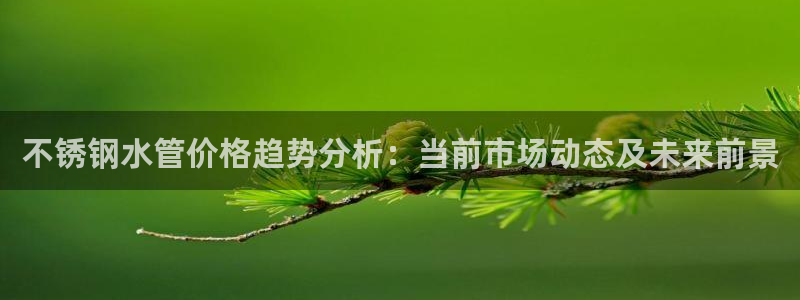 球盟会体育app官方网站