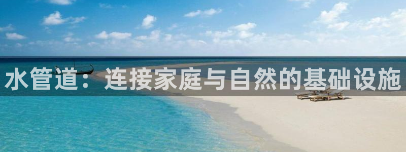 球盟会和中欧合作吗