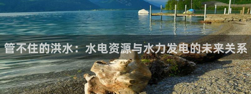 球盟会有没有黑单的球员