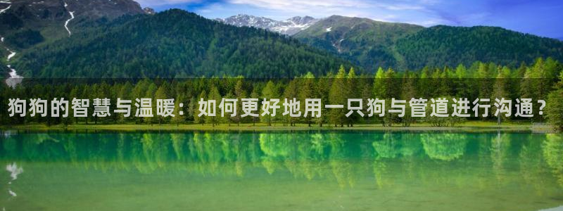 球盟会官方平台入口