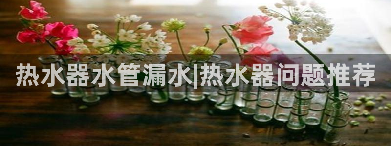 球盟会电子好黑