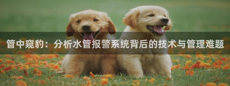 球盟会网页登录入口
