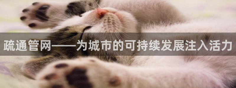 球盟会入口