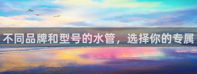 球盟会体育平台