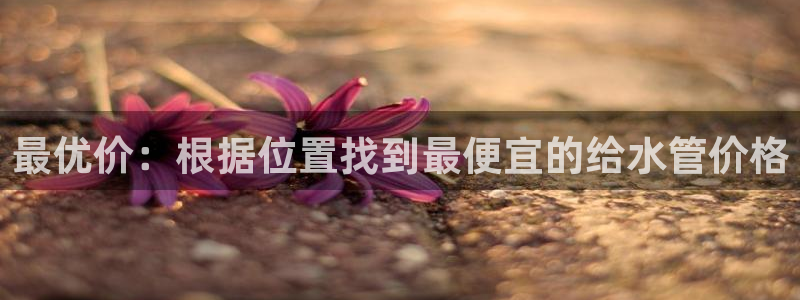 球盟会官方app首页入口