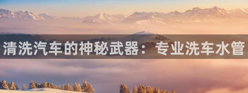 球盟会乐虎