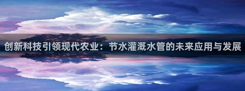 球盟会用的客服聊天是哪个软件