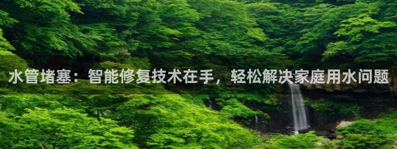 球盟会国际官网