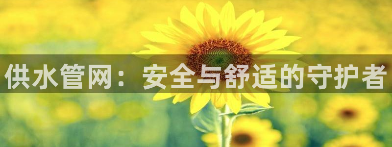 球盟会官网入口