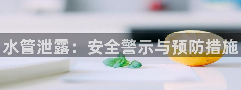 球盟会黑