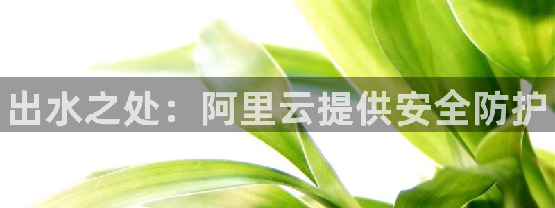 球盟会网页登录