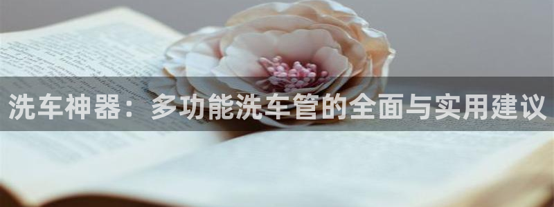 球盟会电子