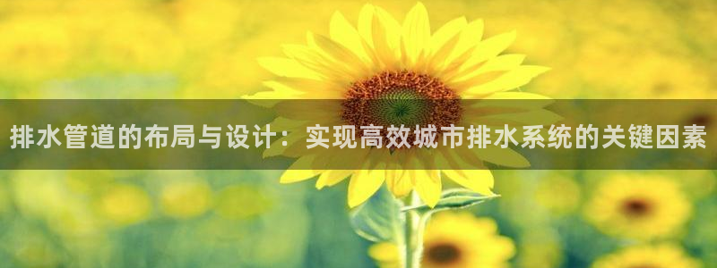 球盟会官方网入口