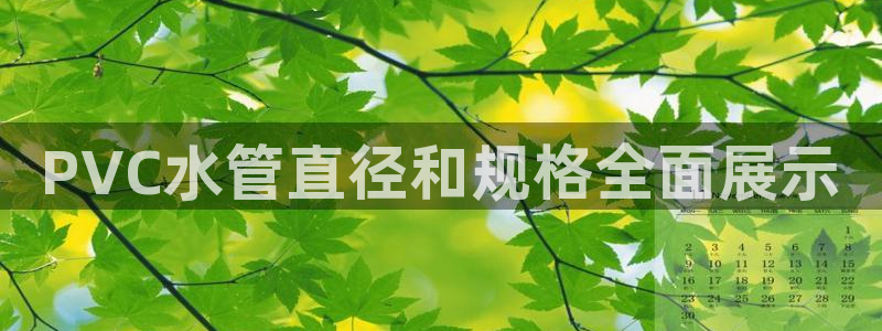 球盟会最新活动