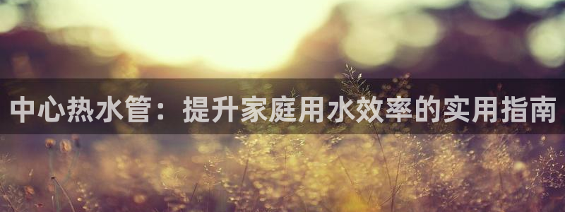 球盟会官方网址入口