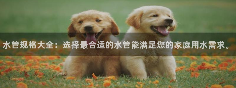 球盟会优惠领取网站是真的吗