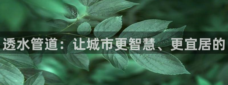 球盟会官方入口