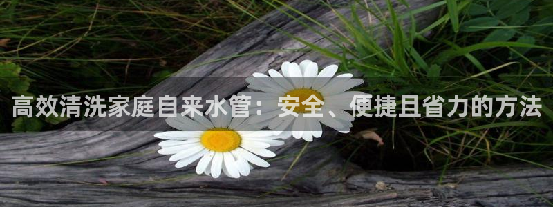 球盟会乐虎
