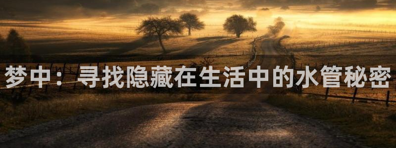 球盟会下载最新版