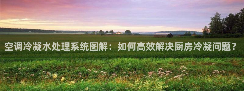 球盟会里面有打牌的嘛是真的吗