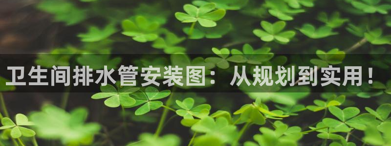 球盟会官方登录平台入口
