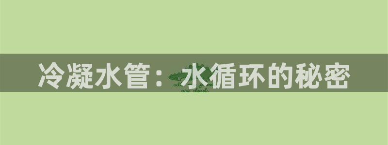 球盟会官方网站