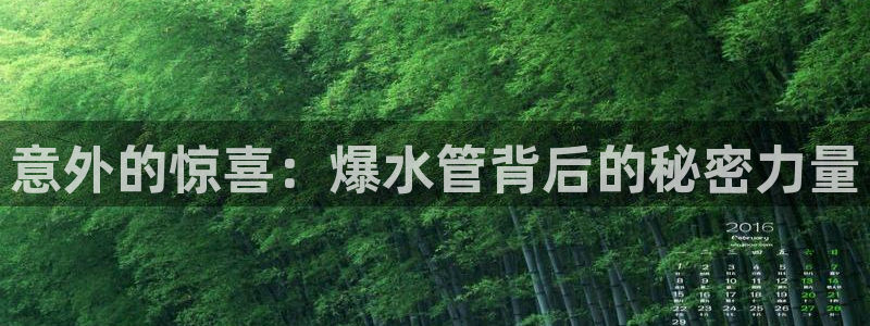 球盟会有没有黑单的球员