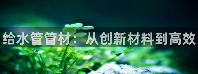 球盟会类似的网站