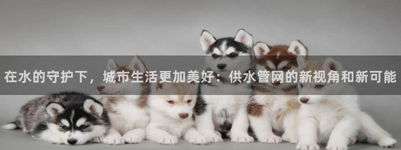 球盟会里面有打牌的嘛