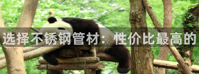 球盟会网址多少