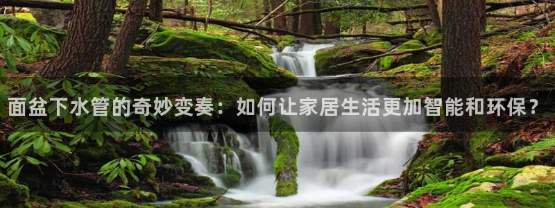 球盟会网页登录app下载地址