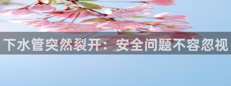 球盟会下载最新版