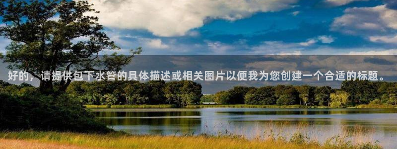 球盟会可以提现么现在