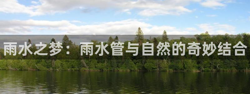 球盟会qmh网页版登录 - qm球盟会官方网站