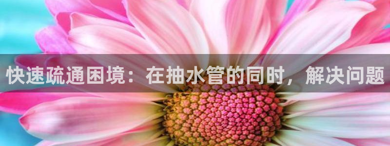 球盟会网页版登陆