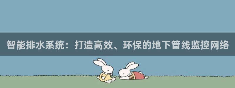 球盟会用的客服聊天是哪个软件