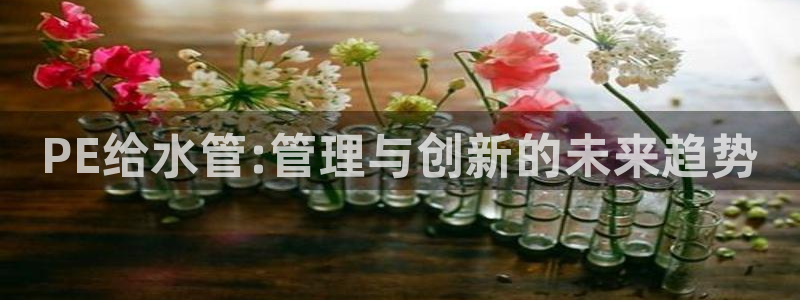 球盟会app网址多少号