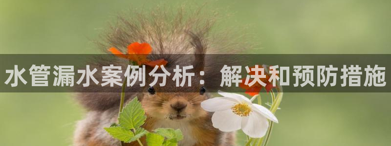 球盟会进不去球员吗