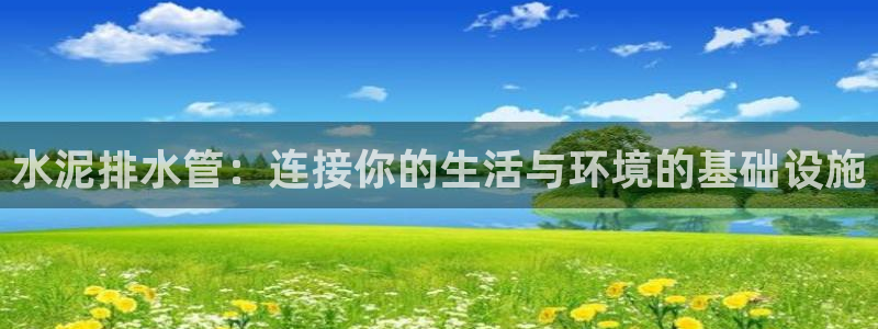 球盟会黑款吗