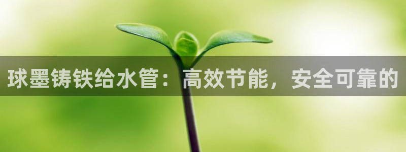 球盟会娱乐平台