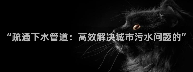 球盟会APP最新地址