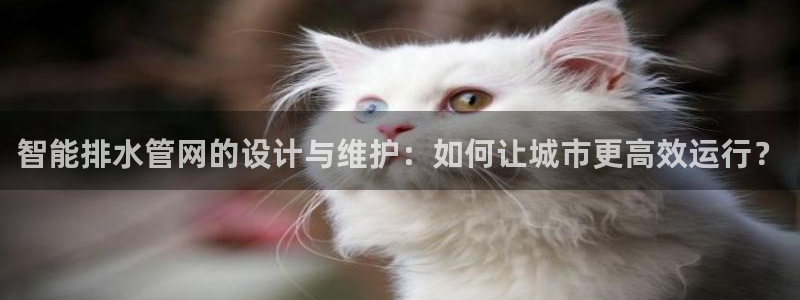 球盟会娱乐平台