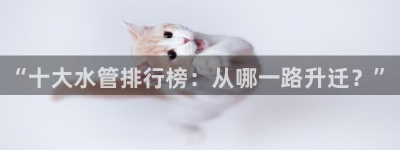 球盟会最新地址备用