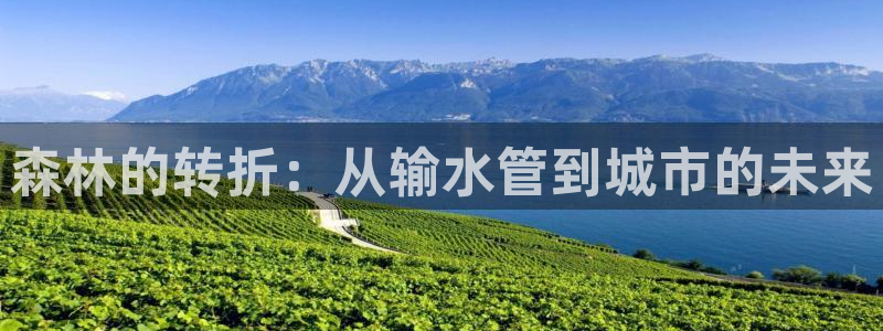 球盟会可以提现么是真的吗