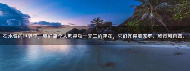 球盟会头号玩家