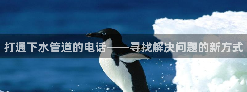 球盟会qmh网页版登录 - qm球盟会官方网站